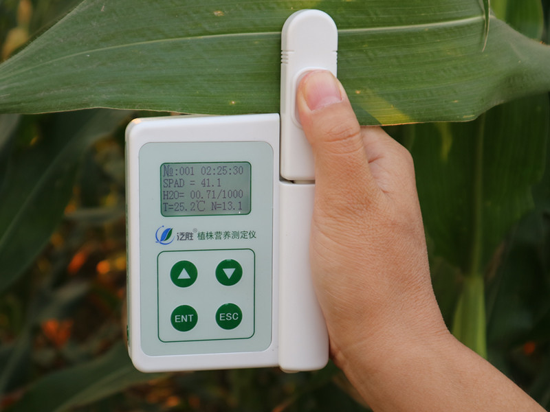 葉綠素儀,泛勝ZZY植株營養測定儀