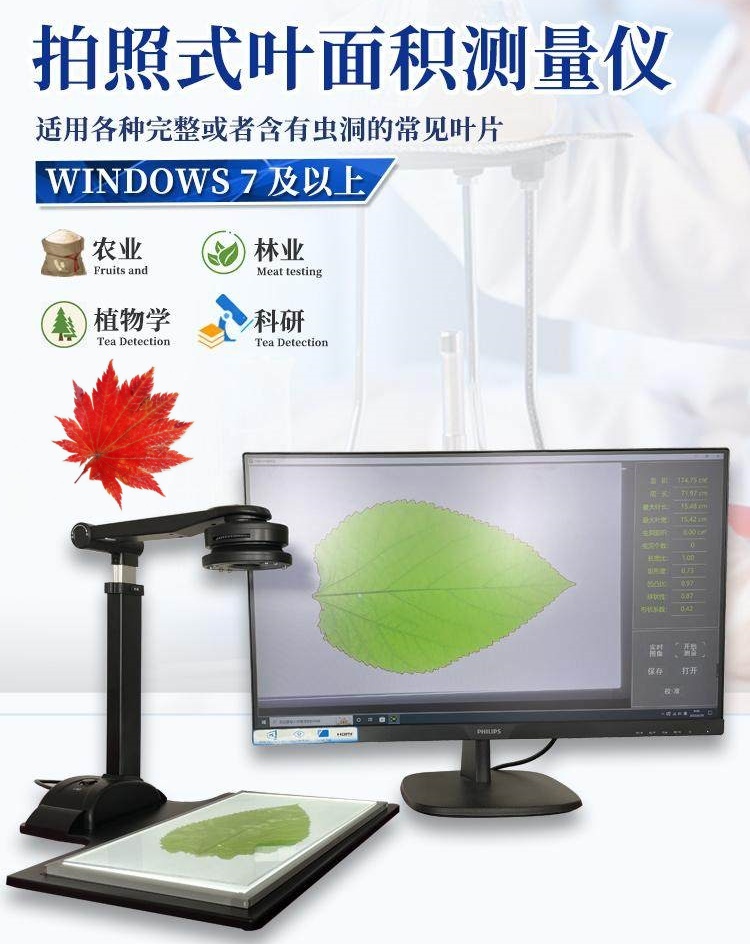 1715409477951093.jpg 拍葉面詳1.jpg